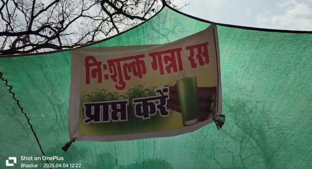 तुरतुरिया मातागढ़ में उपसरपंच हेमलाल साहू के नेतृत्व में श्रद्धालुओं को गन्ना रस पिलाया गया।