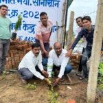 अंतरराष्ट्रीय सहकारिता वर्ष 2025 के उपलक्ष्य में एक पेड़ माँ के नाम अभियान के तहत वृक्षारोपण।