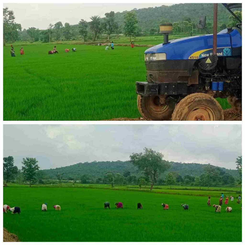महतारी बंधन योजना में नहीं, मेहनत पर विश्वास-युधिष्ठिर नायक
