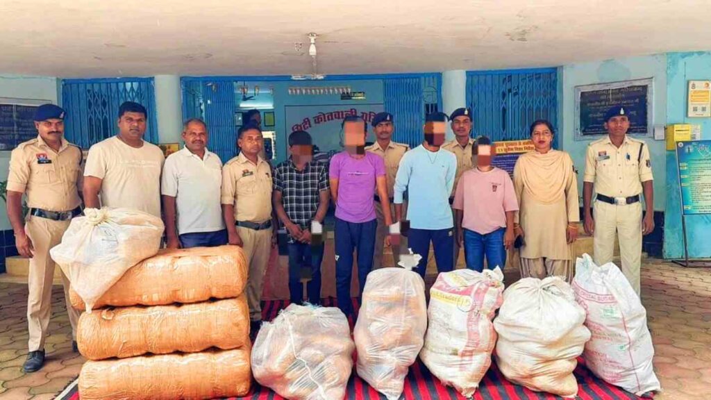 गरियाबंद पुलिस की बड़ी कार्रवाई, 1.96 क्विंटल गांजा सहित 4 अंतर्राज्यीय तस्कर गिरफ्तार