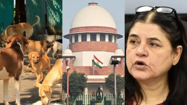 Stray Dogs: मेनका गांधी का आवारा कुत्तों पर बयान! बोली -जानवरों के साथ दुर्व्यवहार किसी भी हाल में स्वीकार्य नहीं