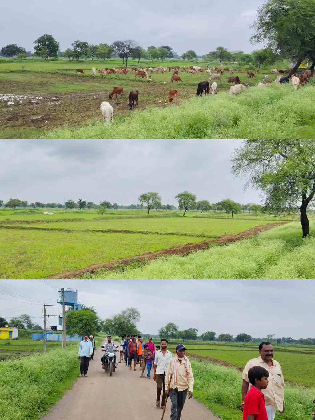 छत्तीसगढ़ में पहली मिसाल – सिंधोरा ग्राम पंचायत ने लिखा इतिहास, 100 एकड़ ज़मीन कब्ज़ा मुक्त और गांव में शराबबंदी लागू