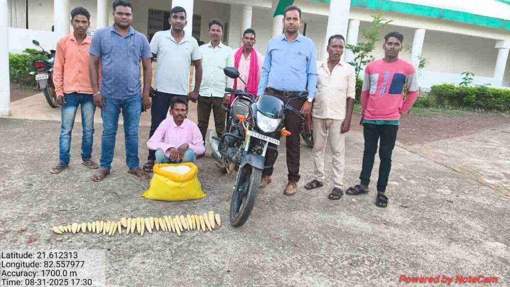 बांस करील और पिका के अवैध परिवहन पर कार्रवाई, आरोपी गिरफ्तार