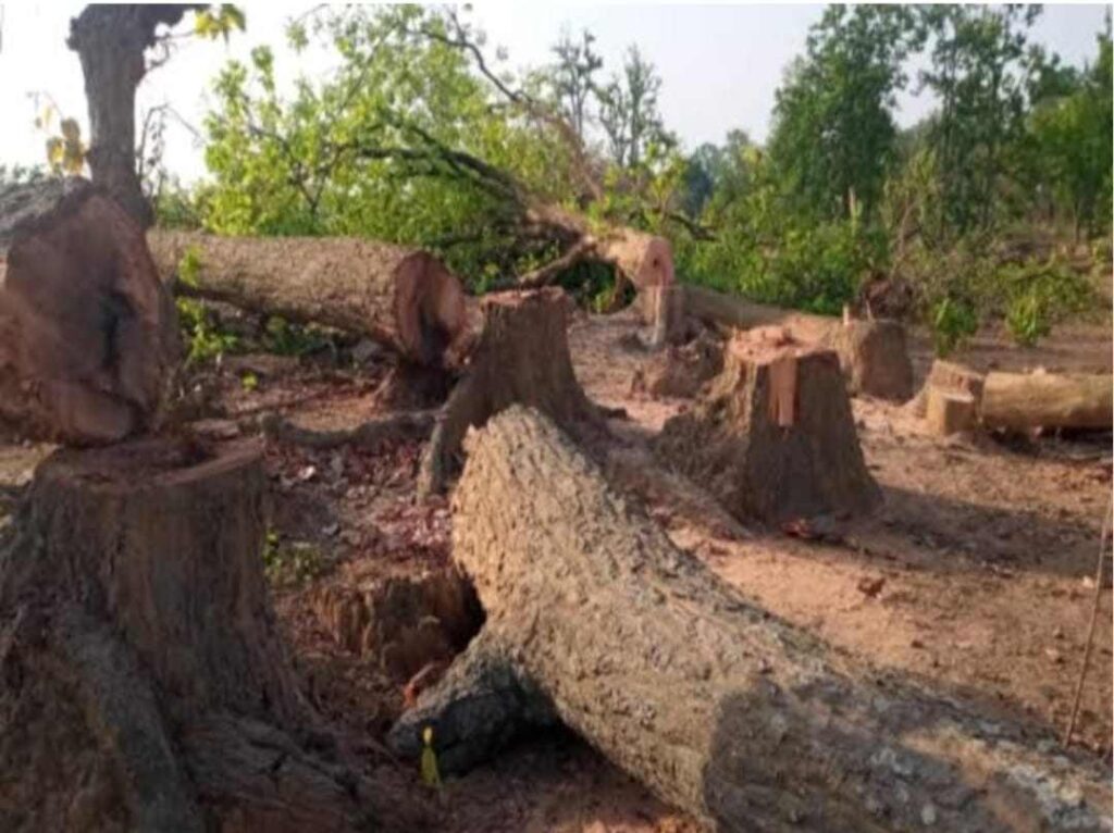छत्तीसगढ़ की साँसें घुट रही हैं, विकास की आड़ में कटते लाखों पेड़! तरुण खटकर