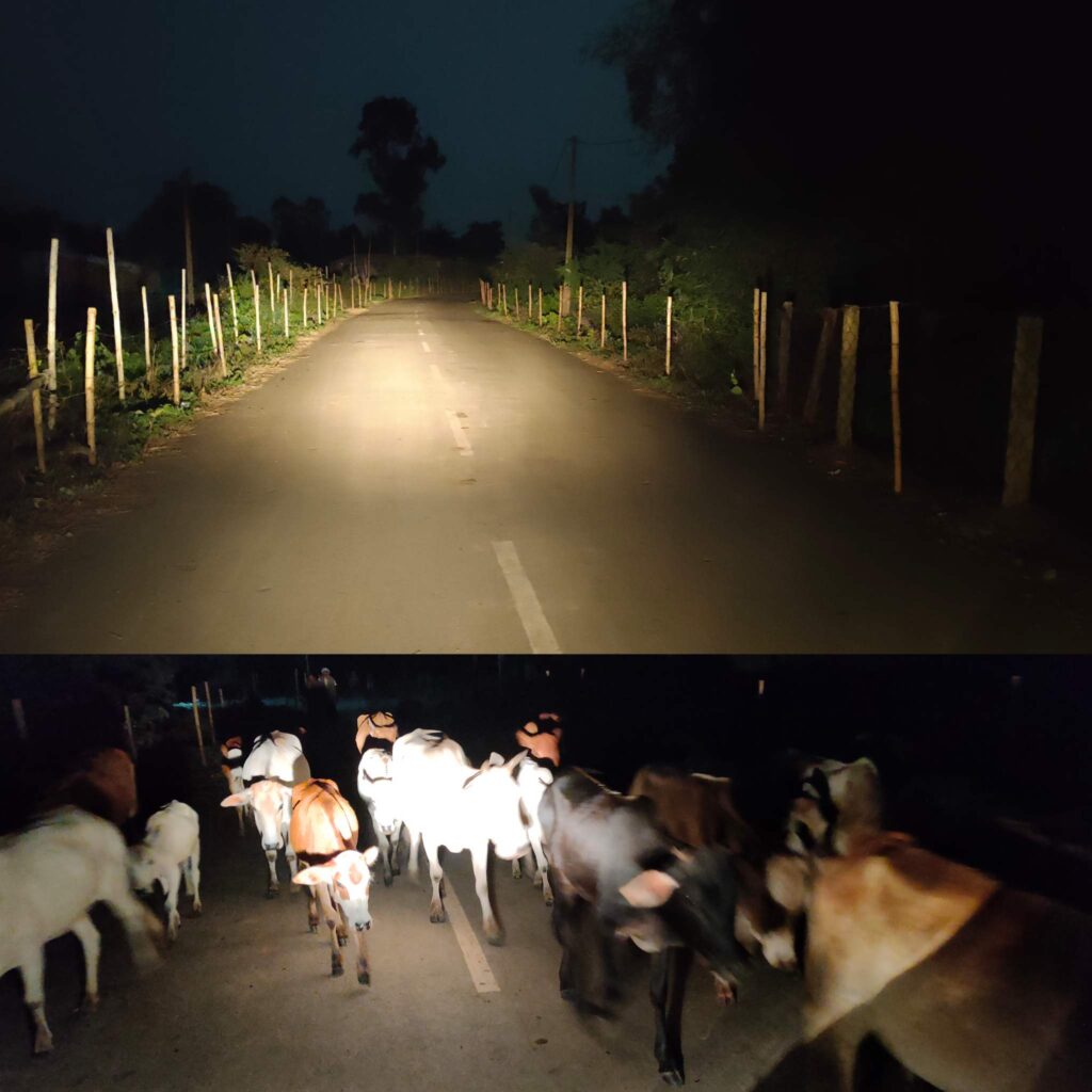 किसान फसल बचाएं या जान? सड़क बनी संकट का मैदान