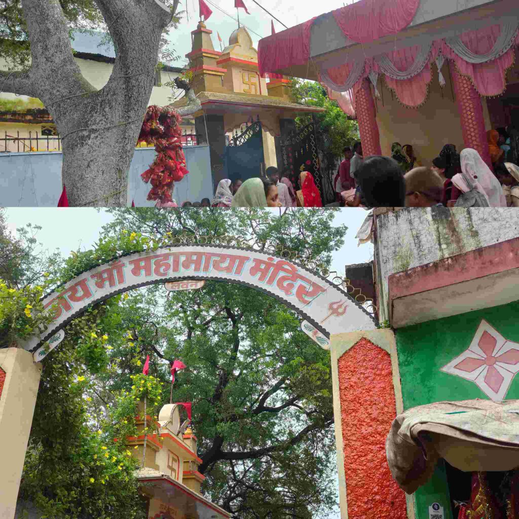 Devotion: लवन महामाया मंदिर में 4900 मनोकामना ज्योत, पंचमी पर श्रद्धालुओं की उमड़ी भीड़