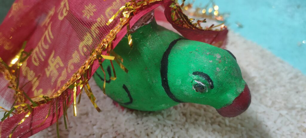 तरी हरी नाना सुवा…” की गूंज से महका पलारी क्षेत्र — नन्हीं बालिकाओं ने सजाई छत्तीसगढ़ी लोक संस्कृति की धरोहर