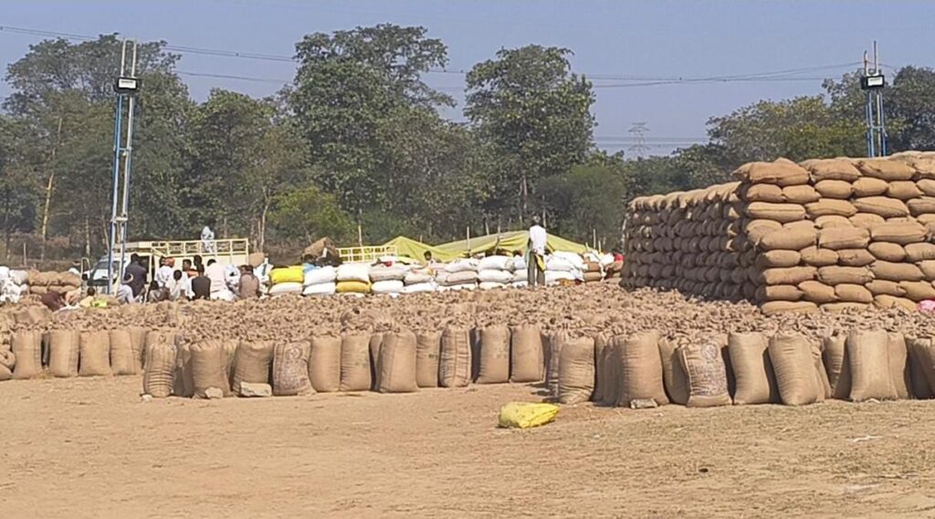 पहरिया धान खरीदी केंद्र में अनियमितताओं का आरोप, तौल प्रक्रिया पर उठे गंभीर सवाल