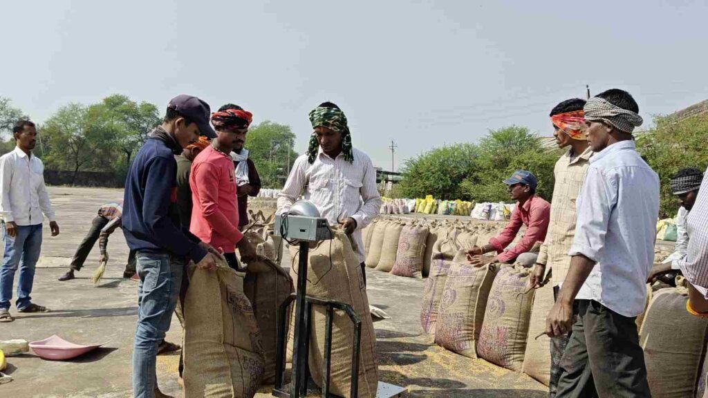 बलौदाबाजार में धान खरीदी तेज, 90% किसानों ने बेचा धान, 1601 करोड़ का भुगतान