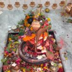 पलारी के वार्ड 11 में महाशिवरात्रि पर ‘श्री श्री मंगलनाथ नर्मदेश्वर महादेव’ की वैदिक प्राण-प्रतिष्ठा, रुद्राभिषेक एवं हवन के साथ भक्तिमय हुआ वातावरण