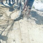 ग्राम हरदी में मगरमच्छ का सफल रेस्क्यू, जंगल सफारी नवा रायपुर में छोड़ा गया सुरक्षित