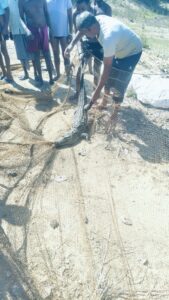 ग्राम हरदी में मगरमच्छ का सफल रेस्क्यू, जंगल सफारी नवा रायपुर में छोड़ा गया सुरक्षित