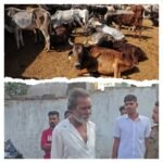 सारंगढ़: सिटी कोतवाली पुलिस की बड़ी कार्रवाई, मोची मोहल्ला से भारी मात्रा में गौ मांस बरामद