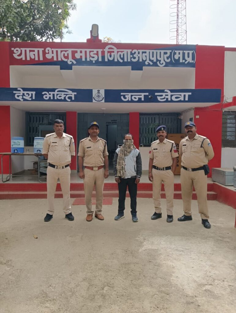 भालूमाड़ा पुलिस की बड़ी कार्रवाई: चोरी के मामले में फरार आरोपी गिरफ्तार, न्यायालय से जेल भेजा गया