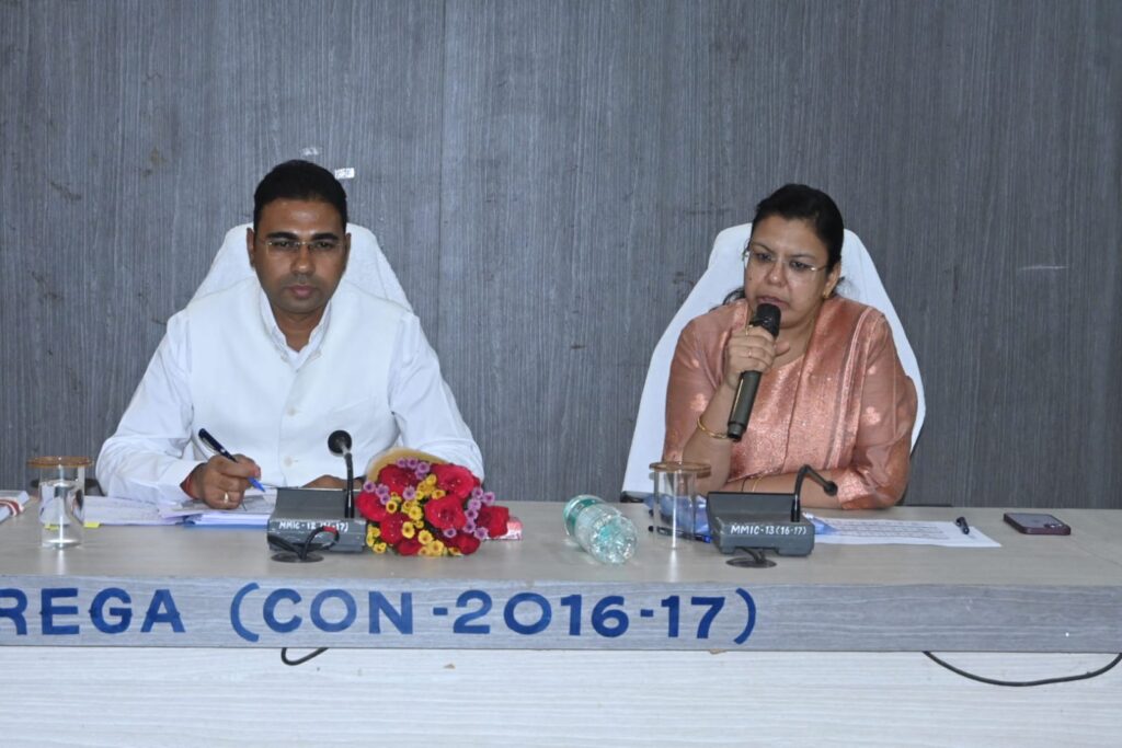 कलेक्टर ने पंचायत एवं ग्रामीण विकास विभाग के कार्यों की समीक्षा की