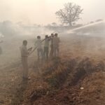 पराली जलाने से फैली आग, पलारी पुलिस की सूझबूझ से 3 साल की बच्ची की बची जान ।