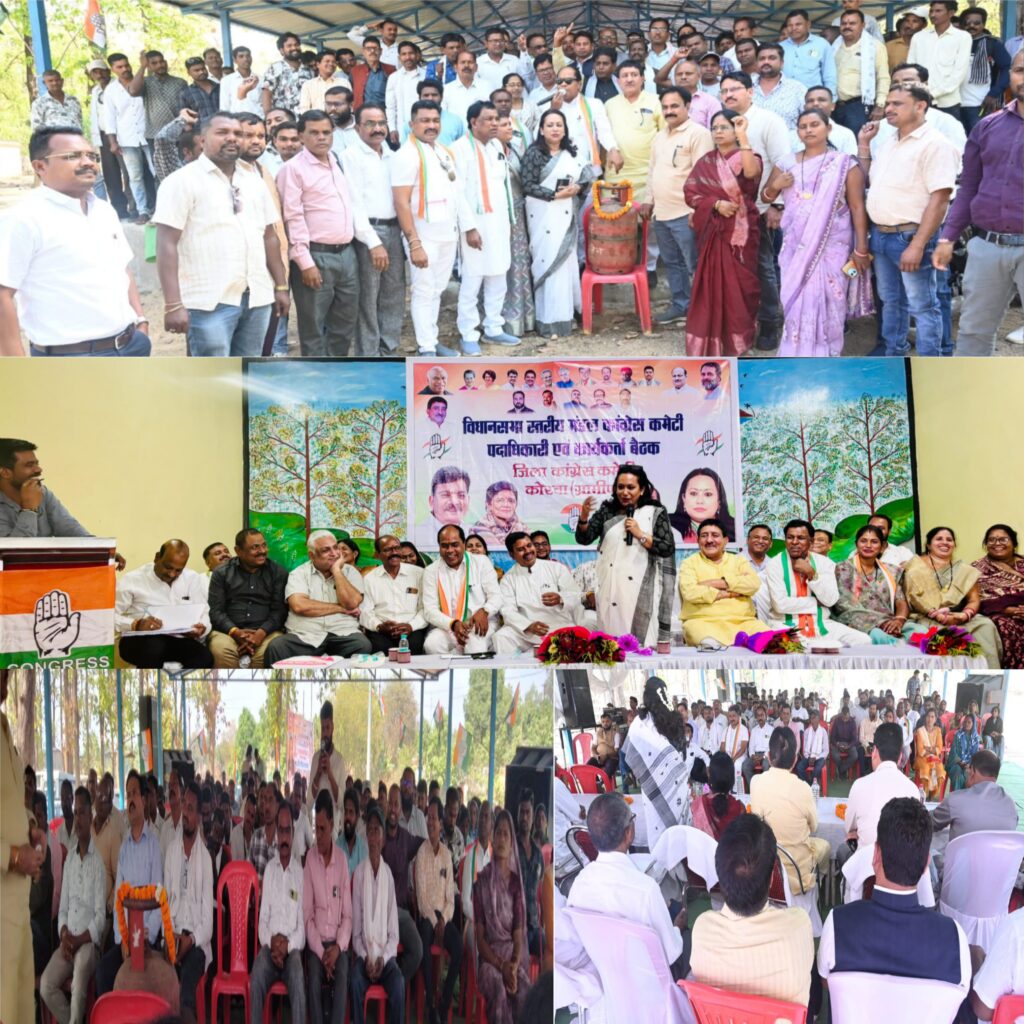 पाली–बाकीमोंगरा में कांग्रेस की विधानसभा स्तरीय बैठक, संगठन मजबूती पर जोर महंगाई, गैस कीमत, बिजली बिल व अफीम खेती जैसे मुद्दों पर हुई चर्चा