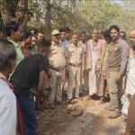 दुर्लभ पेंगोलीन का सफल रेस्क्यू जाल में फंसे वन्यजीव को वन विभाग ने बचाकर जंगल में छोड़ा