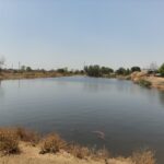 बलौदाबाजार: भीषण गर्मी में ग्रामीणों को राहत, नहरों से लबालब होने लगे तालाब