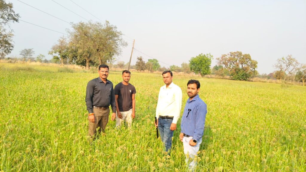 बलौदाबाजार: रागी की खेती से महकी किसानों की किस्मत, धान के बदले अपना रहे फसल विविधीकरण