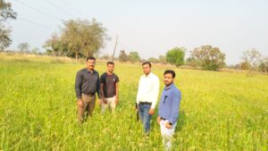 बलौदाबाजार: रागी की खेती से महकी किसानों की किस्मत, धान के बदले अपना रहे फसल विविधीकरण