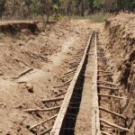 निर्माण कार्य की आड़ में हरे-भरे पेड़ों की बलि, वन कर्मी गहरी नींद में – ठेकेदार की मनमानी से उजड़ रहा जंगल