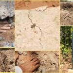 गांधी जी के तीन बंदरों की तर्ज पर PMGSY अधिकारी, न देखते गड़बड़ी, न सुनते शिकायत, न बोलते कार्रवाई की बात