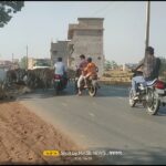 सड़क पर गायों का कब्जा, रुकती सांसें-थमती रफ्तार: पलारी के मेन रोड पर हर दिन हादसे का खतरा, न जिम्मेदार अधिकारी जागे न व्यवस्था संभली