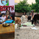 कोसमंदी गांव में सनातनी परंपरा निभाते हुए साहू परिवार ने बेटी के जन्मोत्सव पर गौ सेवा को प्राथमिकता दी