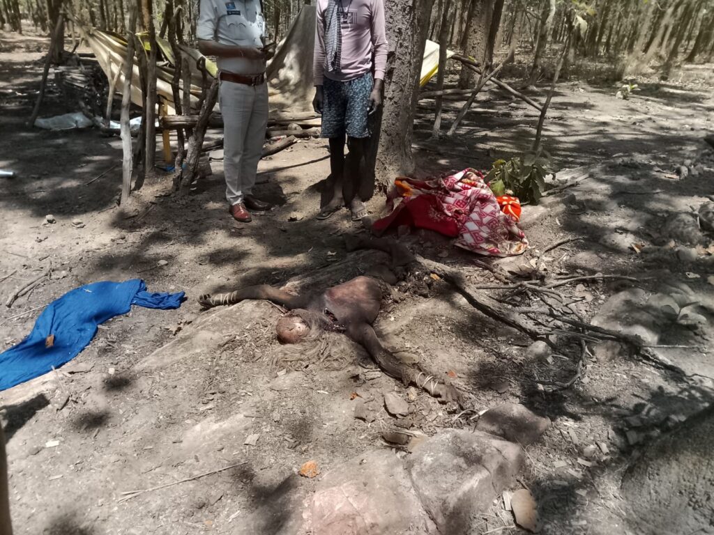 हाथी के हमले में बुजुर्ग महिला की मौत