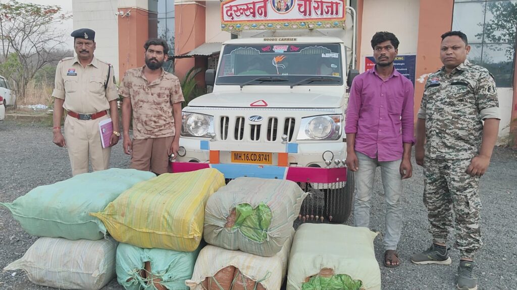 उड़ीसा से महाराष्ट्र ले जाया जा रहा 226 किलो गांजा जब्त, दो अंतरराज्यीय तस्कर गिरफ्तार