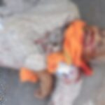 लोहझर के पास भीषण सड़क हादसा: बाप-बेटे की दर्दनाक मौत, गांव में पसरा मातम,