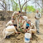 कानून-व्यवस्था के साथ पर्यावरण संरक्षण में भी अग्रणी भटगांव पुलिस, पौधारोपण कर पेश की मिसाल