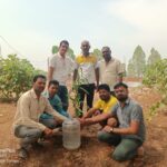 विश्व पर्यावरण दिवस पर भाजपा रोहांसी मंडल ने किया पौधारोपण
