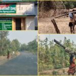 देवगढ़ जंगल में अवैध कटाई, वन विभाग मौन