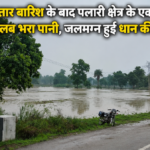 बरसात का कहर: खेतों में लबालब पानी, धान के पौधे डूबे… किसानों की बढ़ी चिंता