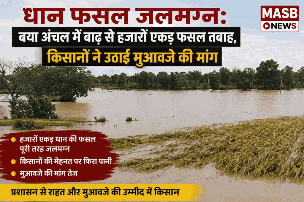 धान फसल जलमग्न: बया अंचल में बाढ़ से हजारों एकड़ फसल तबाह, किसानों ने उठाई मुआवजे की मांग