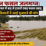 धान फसल जलमग्न: बया अंचल में बाढ़ से हजारों एकड़ फसल तबाह, किसानों ने उठाई मुआवजे की मांग