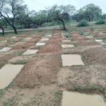 ‘मोर गांव–मोर पानी’ अभियान से जल संरक्षण को मिली नई ताकत, 1.69 लाख ट्रेंचों में हुआ 132.2 लाख घन मीटर वर्षा जल का संचयन पहली बारिश में ही ट्रेंच हुए लबालब, भूजल स्तर बढ़ाने और किसानों को मिलेगा बड़ा लाभ