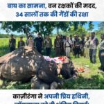 34 वर्षों तक काज़ीरंगा की रक्षा करने वाली वीर हथिनी ‘जॉयमाला’ को नम आंखों से अंतिम विदाई वन्यजीव संरक्षण में निभाई ऐतिहासिक भूमिका, गार्ड ऑफ ऑनर देकर किया गया सम्मानित