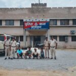 15 लाख के गांजे की तस्करी का खुलासा, जबलपुर से 4 आरोपी गिरफ्तार