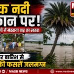 जोंक नदी उफान पर: लुकाऊपाली में मंडराया बाढ़ का खतरा, लगातार बारिश से धान की फसलें जलमग्न