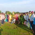 पूर्व सहायक आयुक्त बी.एल. ध्रुव ने 31 वर्षों में लिखी हरियाली की मिसाल, 200 से अधिक पौधे बने विशाल वृक्ष