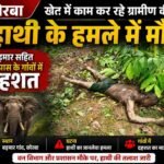 कोरबा: खेत में काम कर रहे ग्रामीण की हाथी के हमले में मौत, बड़मार सहित आसपास के गांवों में दहशत