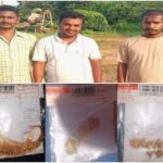 दुकान का ताला तोड़कर चोरी करने वाला कलयुगी बेटा गिरफ्तार: पूछताछ में मां के जेवर चुराने का भी खुलासा, 3.88 लाख का मशरूका बरामद, 3 आरोपी सलाखों के पीछे