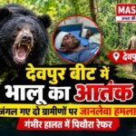 देवपुर बीट में भालू का आतंक: जंगल गए दो ग्रामीणों पर जानलेवा हमला, गंभीर हालत में पिथौरा रेफर